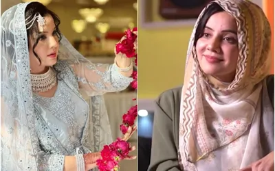 Did Rabi Pirzada Secretly Get Married?
