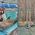 Iqra Kanwal and Areeb Pervaiz creates memorable honeymoon moments in Phuket Park