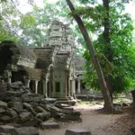 Massive ancient city found underneath the forest of Amazon