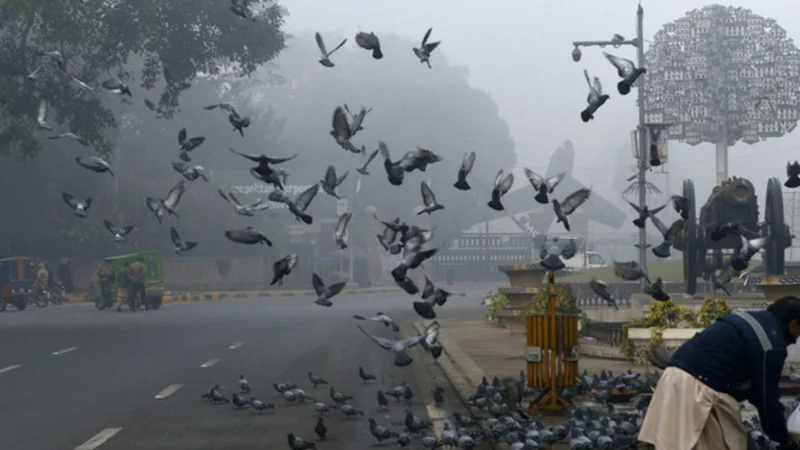 Lahore weather update