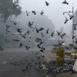 Lahore, Punjab Weather update today
