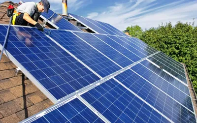 Global solar panel prices cut in half worldwide