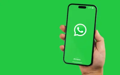 Exciting updates for WhatsApp channels in 2024
