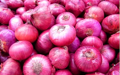 Onion prices soar across Pakistan