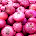 Onion prices soar across Pakistan