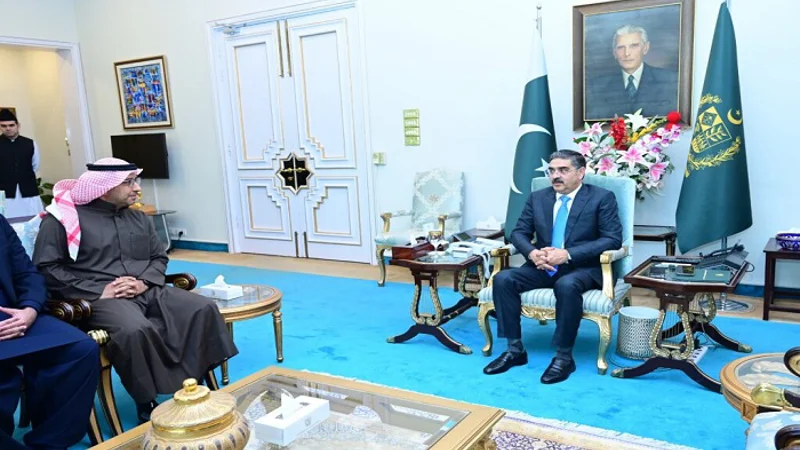 Vast investment opportunities in energy, IT sectors, says Kakar