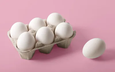 Egg prices reach a record peak in Islamabad-Rawalpindi