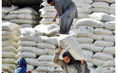 USC Increased Flour Prices in Pakistan