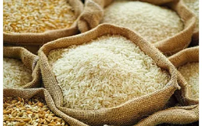 USC Increased Rice Prices in Pakistan