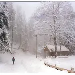 Snowfall and Rain predicted in Murree and Islamabad