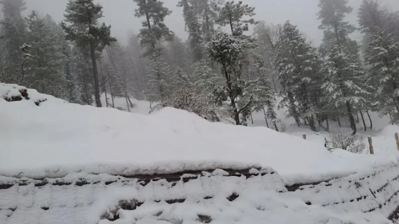 Peshawar, Khyber Pakhtunkhwa latest weather update today