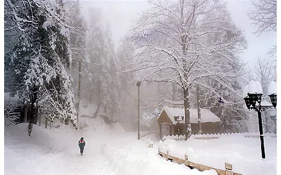 Murree: Tourists flock to 'Malka-a-Kohsar' as snowfall expected