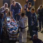 Woman severely injured in Shark attack at Sydney harbor