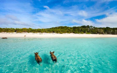 Alert: Jamaica Off-Limits for American Tourists, Warns State Dept