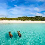 Alert: Jamaica Off-Limits for American Tourists, Warns State Dept