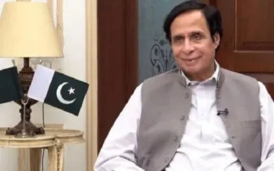 LHC dismisses Elahi’s plea seeking 'Peacock' as election symbol