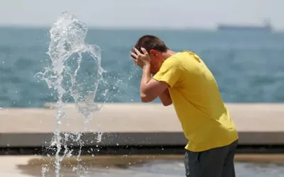 WMO forecasts strong El Niño as global heat risks rise