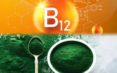 Scientists supercharge 'Spirulina' with beef-level active vitamin B12