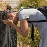 August 2026 recorded as hottest month in human history