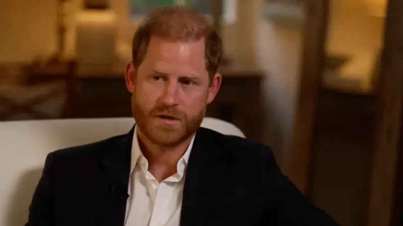 Prince Harry goes ‘frankly insane’ with ‘private citizens’ title - Buckingham Palace, Prince Harry, prince harry and meghan