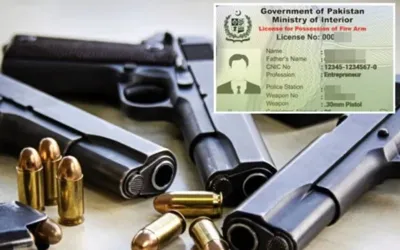 Sindh government bans issuance of new arms' licenses