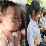 Study uncovers cellular mystery behind children’s congenital heart defects