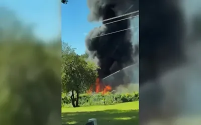 U.S. F-16 erupts in flames on Michigan field in fiery training crash as pilot ejects safely