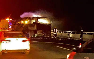 Nine killed in Saudi Arabia crash, including 7 from same family