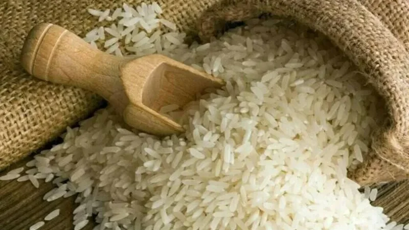 Pakistan rice exports hit record high - rice