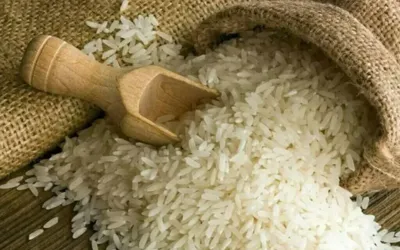 Pakistan rice exports hit record high