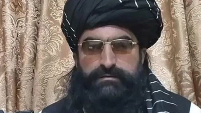 TTP commander Noor Wali booked in audio call leaked case
