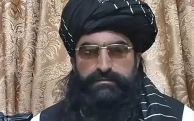 TTP commander Noor Wali booked in audio call leaked case