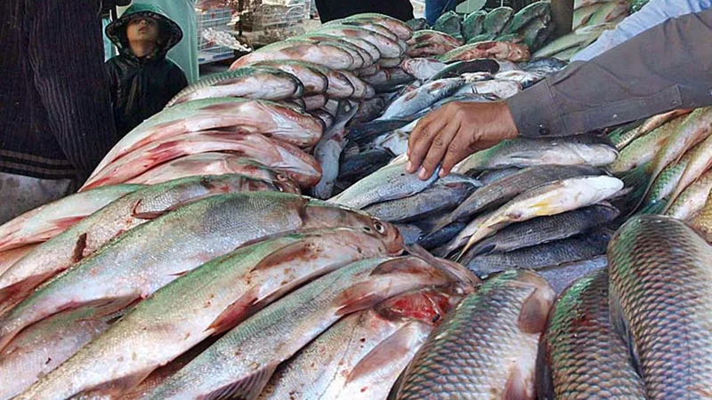 fisheries