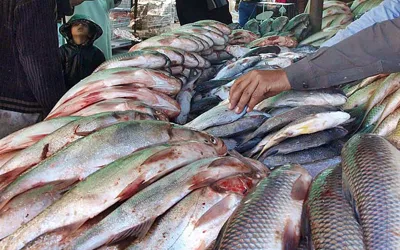 Pakistan plans 100-acre marine-culture estate at Korangi Fisheries Harbour