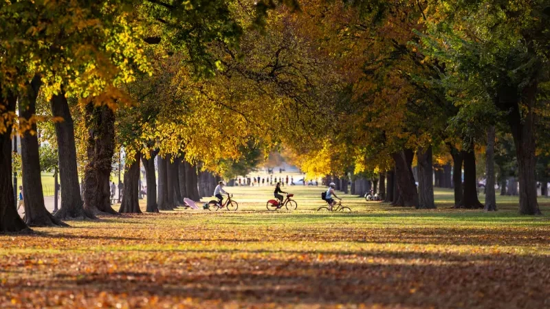 Fall officially begins tonight with arrival of autumnal equinox - autumnal equinox, Earth’s equator, Fall officially begin