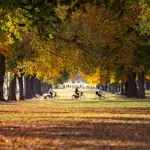 Fall officially begins tonight with arrival of autumnal equinox