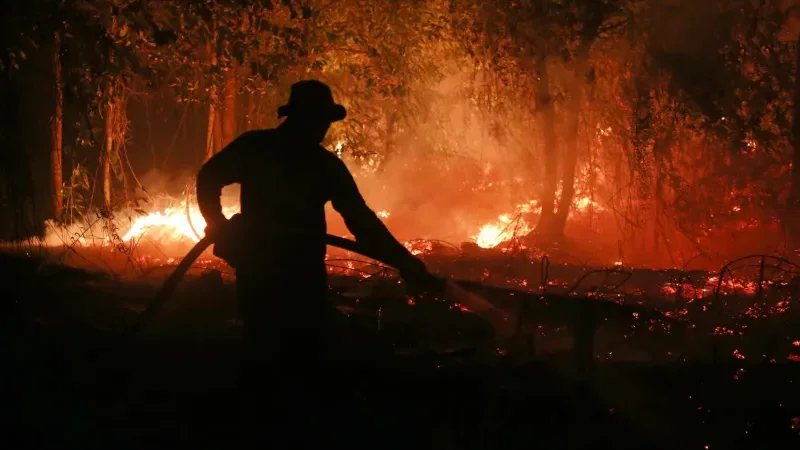El Niño-driven heat could cause 451,000 excess deaths, report says - El Niño, excess deaths, potential health, weather patterns
