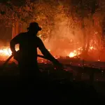 El Niño-driven heat could cause 451,000 excess deaths, report says