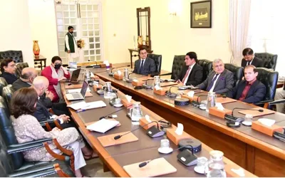 Government set to launch National Digital Plan with three pillars, says Ahad Cheema