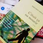 Bestselling novel removed from French literary prize due to AI allegations