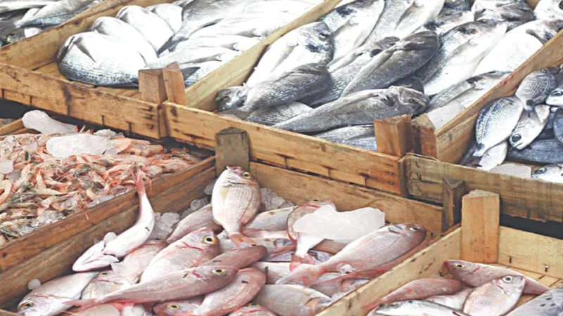 seafood