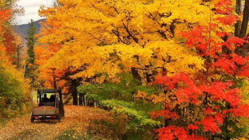 Cooler weather expected in parts of western US, NOAA says - Mountain West, NOAA, United States