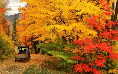 Cooler weather expected in parts of western US, NOAA says