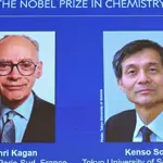 French, Japanese scientists win 2026 Nobel Prize in chemistry