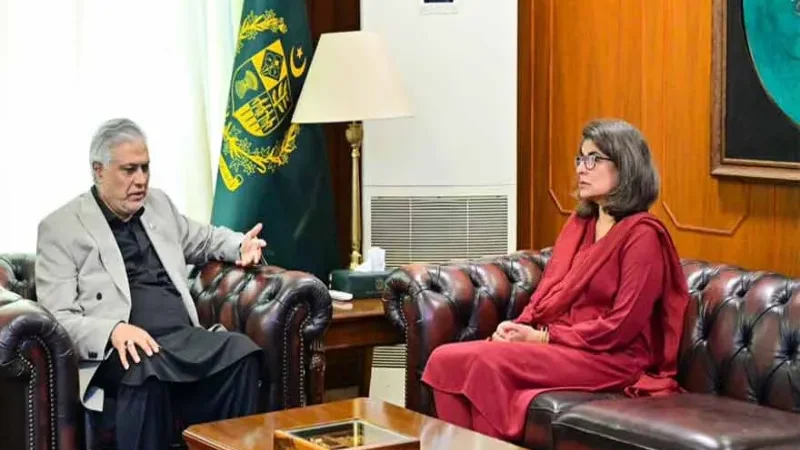 Ishaq Dar meets Amna as Pakistan, Turkiye aim to strengthen strategic ties