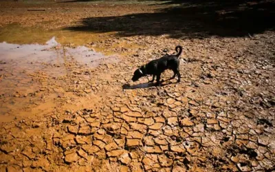 Super El Niño could make 2026 and 2027 hottest years on record