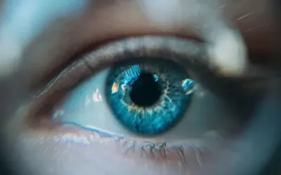 Scientists uncover hidden eye drainage pathway that eluded researchers for centuries