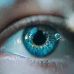 Scientists uncover hidden eye drainage pathway that eluded researchers for centuries