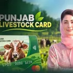 CM Punjab Maryam Nawaz unveils Rs16.2 billion livestock loan package