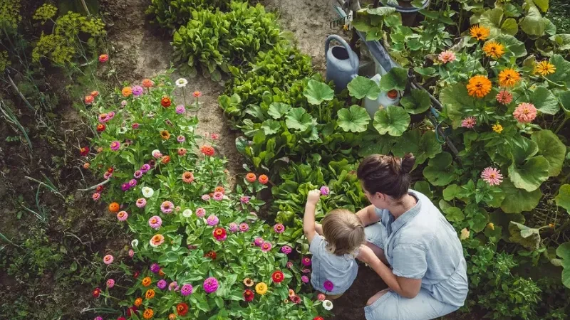 How gardening can benefit physical and mental health - beautify outdoor spaces, Gardening, grow plants, Jill Litt